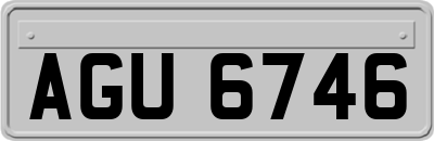 AGU6746