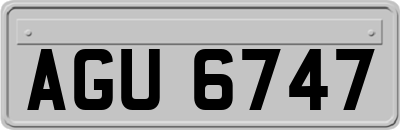 AGU6747