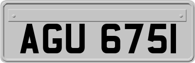 AGU6751