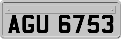 AGU6753