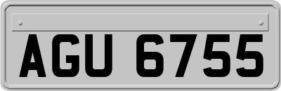 AGU6755