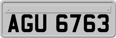 AGU6763