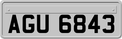 AGU6843