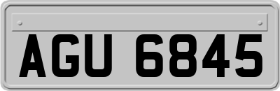 AGU6845
