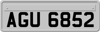 AGU6852