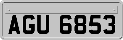 AGU6853