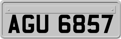 AGU6857