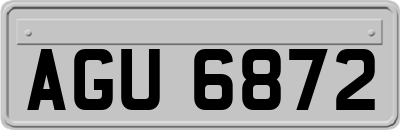 AGU6872
