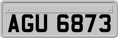 AGU6873