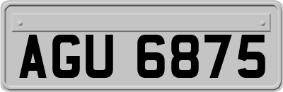 AGU6875