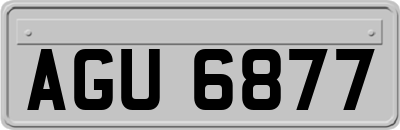 AGU6877
