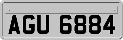 AGU6884
