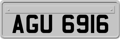 AGU6916
