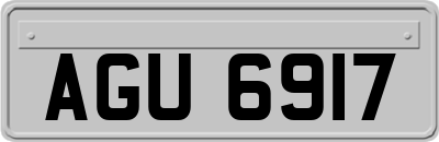 AGU6917