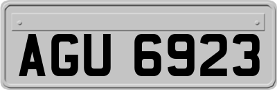 AGU6923