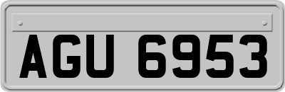 AGU6953
