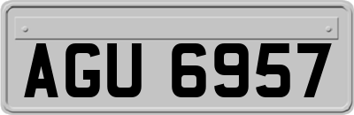 AGU6957