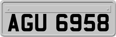 AGU6958