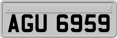 AGU6959