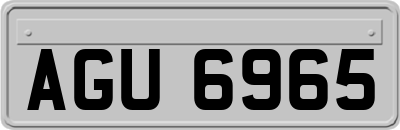 AGU6965