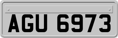 AGU6973