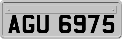 AGU6975