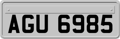 AGU6985
