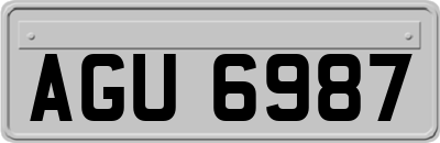 AGU6987