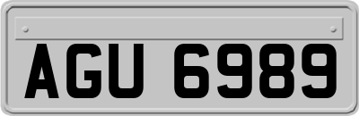 AGU6989