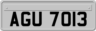 AGU7013