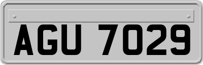 AGU7029