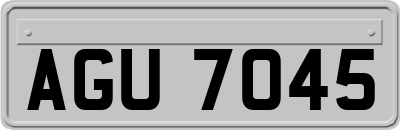 AGU7045