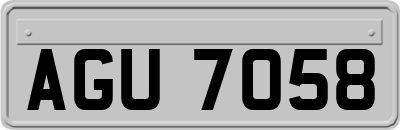 AGU7058