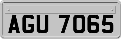 AGU7065