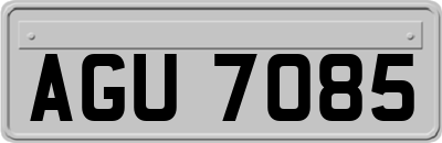 AGU7085