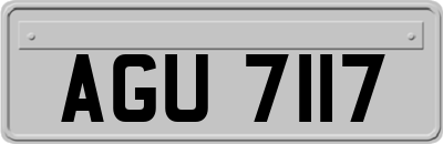 AGU7117