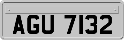 AGU7132