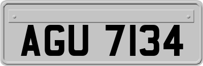 AGU7134