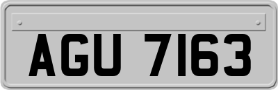 AGU7163