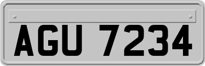 AGU7234