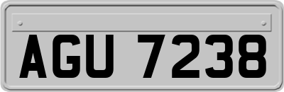 AGU7238