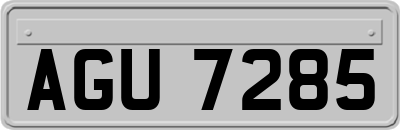 AGU7285