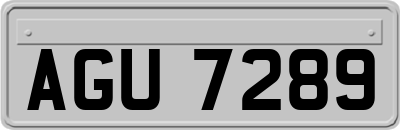 AGU7289