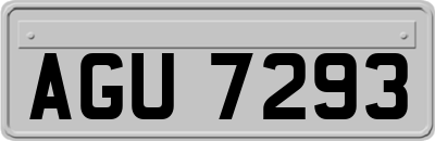 AGU7293