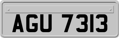 AGU7313