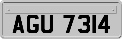 AGU7314