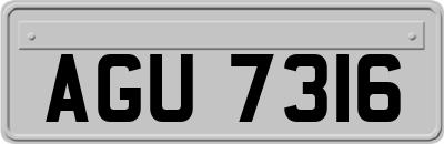 AGU7316