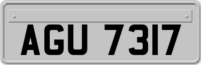 AGU7317