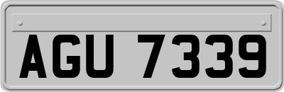 AGU7339