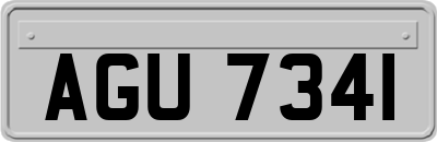AGU7341